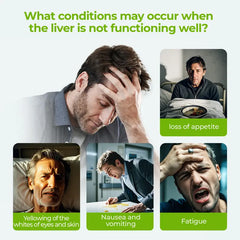 Chicory and 3 Gardenia Honeysuckle Liquorice Herbal Tea Ready to Eat Convenient | Orange Peel & Chrysanthemum – Cool Relief from Heat | 30 packs in 1 bag