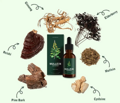 ChicAddOns Mullein + Chlorophyll